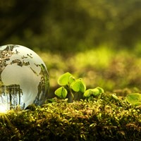 Klimatkompensation